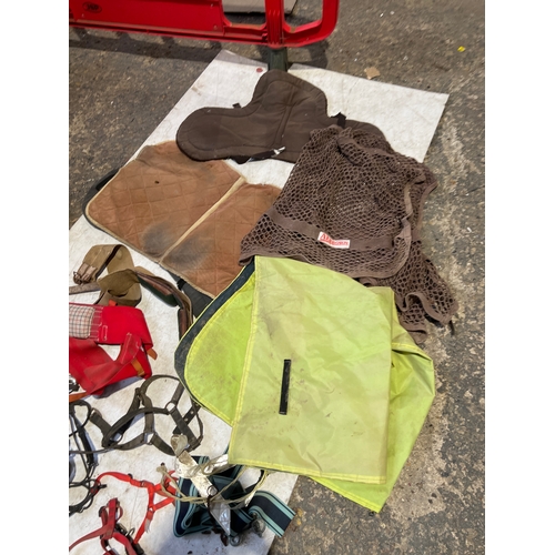 495 - Equestrian lot inc horse rugs, saddle covers, straps and more