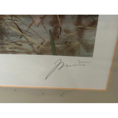 426 - Terence Macklin Signed Limited Edition Picture Labrador “First To The Bird” 141/500 plus additional ... 