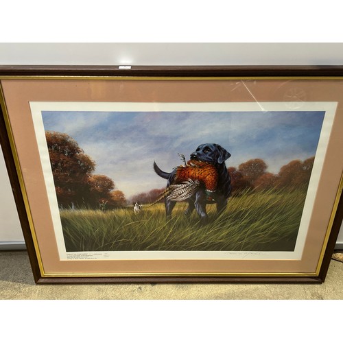 426 - Terence Macklin Signed Limited Edition Picture Labrador “First To The Bird” 141/500 plus additional ... 