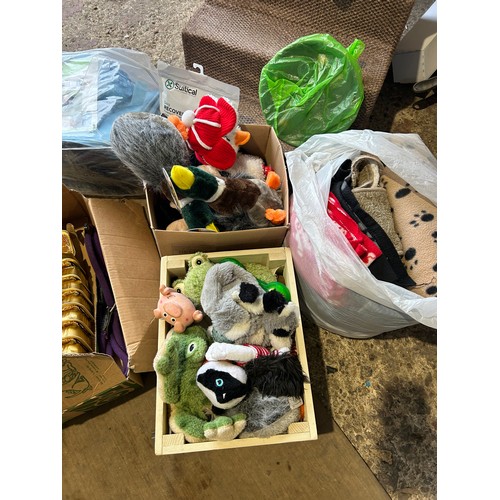 447 - Large Lot inc Dog Toys, Food, Snacks, Paddling Pool etc