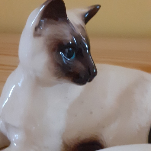 4 - Royal Doulton cat plus one other not marked Doulton but has number on underside 1559