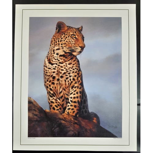 119A - Bigs Cats. 2 colour prints ‘The Kings of the Wild’ (lioness and cubs) and ‘The Prince of Stealth’ (l... 