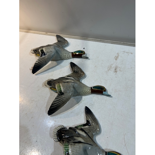 239 - Very rare - Set of 3 teal graduating Beswick wall hanging ducks - all with green paint to wings and ... 