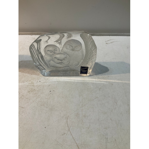 Lot 20        
