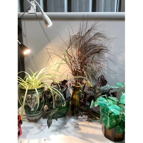 181 - Selection of artificial plants and one plant in pots