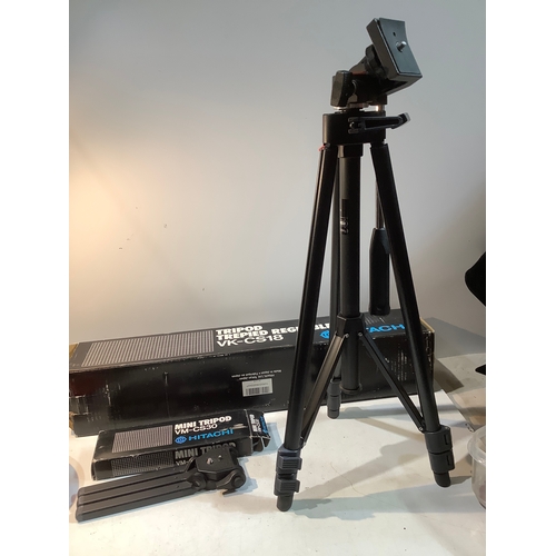 Lot 230       