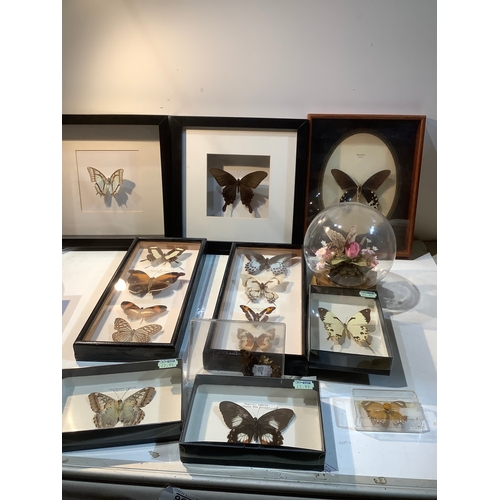 Lot 240       