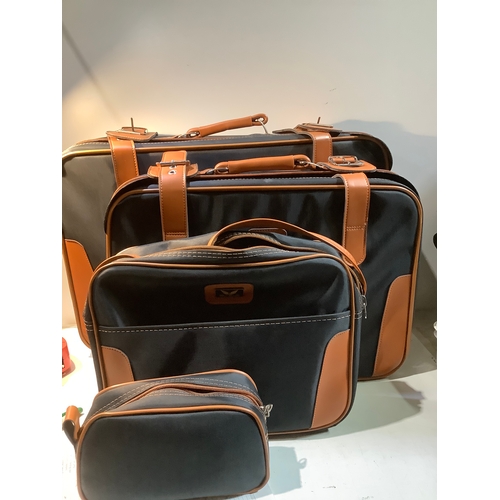 Lot 204       