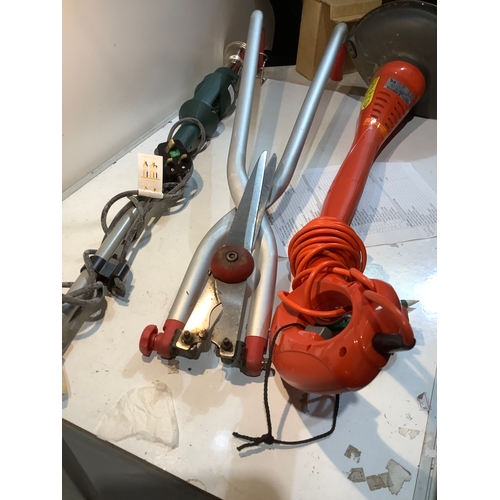 Lot 244       