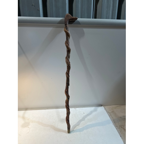 Lot 35        