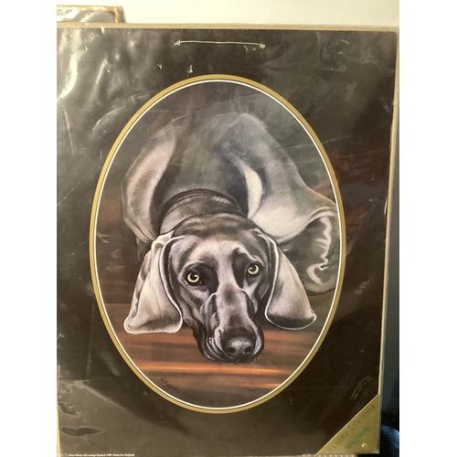 235 - 2 x Pollyanna Pickering fine Art prints of Dogs 15” x 12” approx
