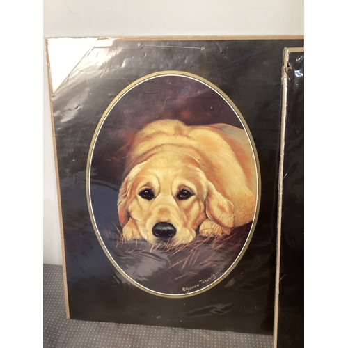 235 - 2 x Pollyanna Pickering fine Art prints of Dogs 15” x 12” approx