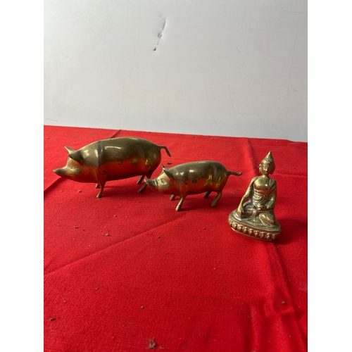 Lot 28        