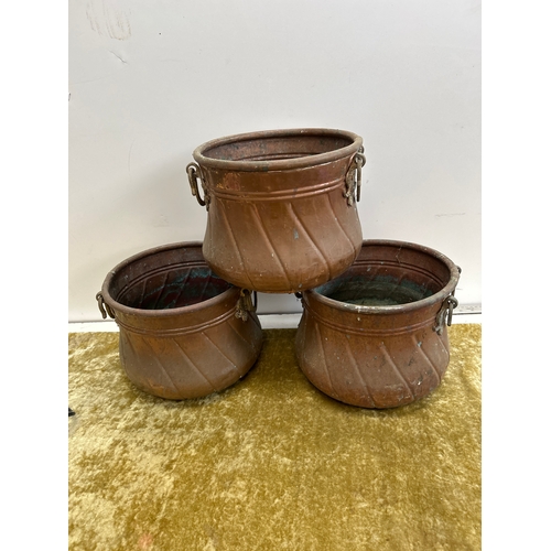 Lot 20        