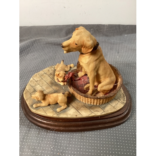 Lot 122       