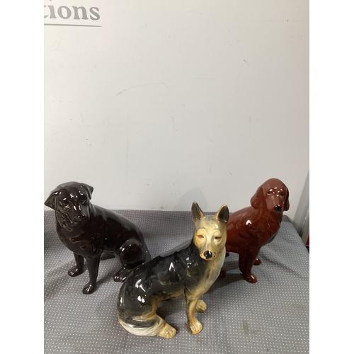 Lot 135       