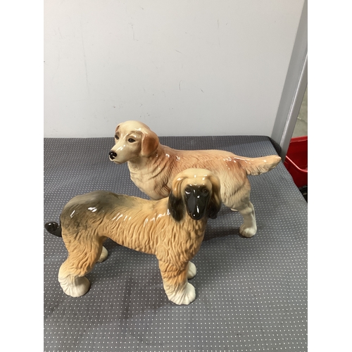 Lot 140       