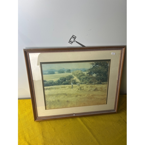 Lot 45        
