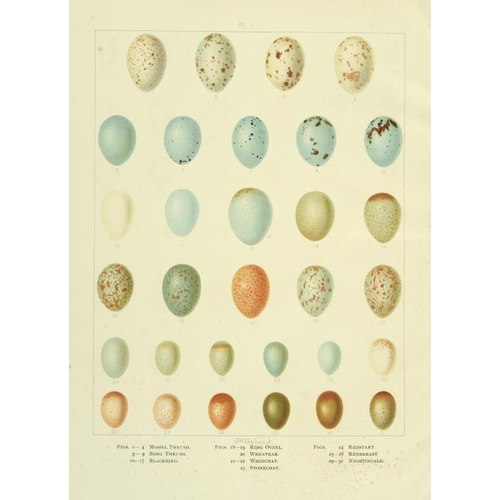 37 - BUTLER, ARTHUR G - BRITISH BIRDS WITH THEIR NESTS AND EGGS illustrated by F. W. Frohawk. London, Bru... 