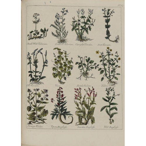 1174 - CULPEPER (NICHOLAS) CULPEPER'S ENGLISH PHYSICIAN AND COMPLETE HERBAL   fifteenth edition, Herbal [on... 