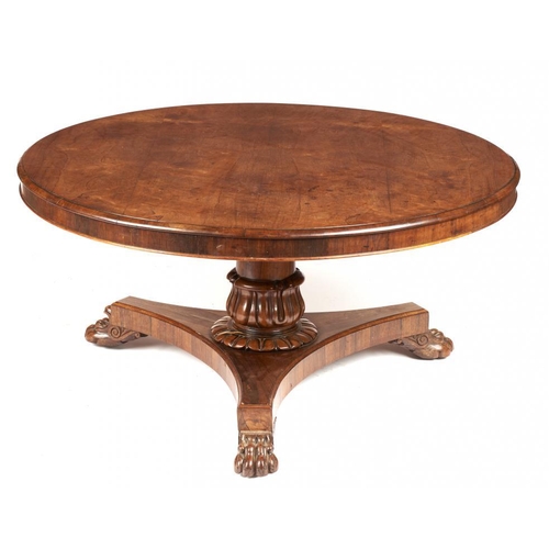 971 - A WILLIAM IV ROSEWOOD BREAKFAST TABLE, C1830 with lappeted pillar, platform and carved paw feet, 73c... 