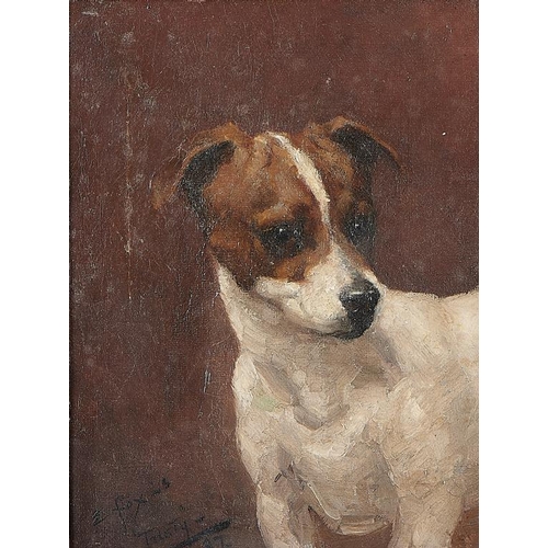 641 - ENGLISH SCHOOL, 1887 'TRISTY', A JACK RUSSELL TERRIER dated 87 and inscribed, oil on canvas, 25 x 18... 