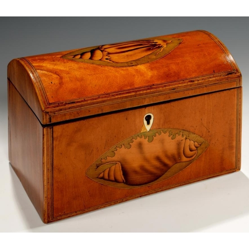 542 - A GEORGE III SATINWOOD TEA CADDY, C1780  the line inlaid front and coffered lid each with a large ov... 