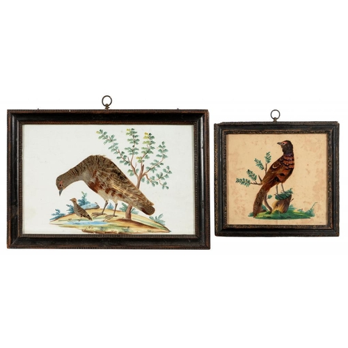 618 - TWO FEATHER PICTURES OF BIRDS, EARLY 19TH C with watercolour background, 18 x 28cm and smaller, ebon... 