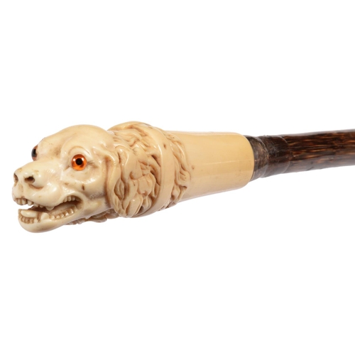 71 - A VICTORIAN BONE CANE HANDLE IN THE FORM OF A HOUND'S HEAD  with glass bead eyes, silver ferrule, ho... 