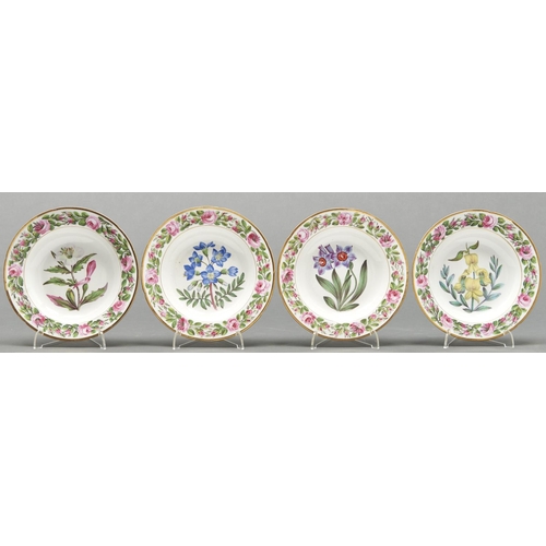 780 - A set of four Coalport botanical plates, outside decorated, c1820, painted with single specimens bor... 