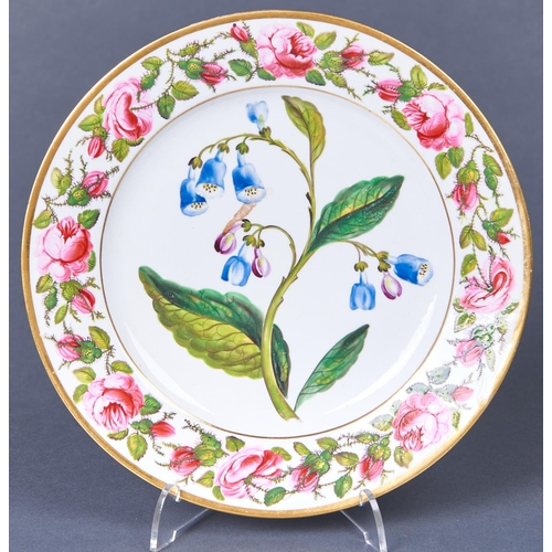 854 - A Coalport botanical plate, outside decorated, c1820, painted with a specimen of lungwurt bordered b... 