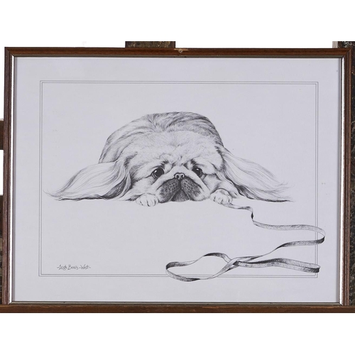 1312 - Fifteen etchings and other prints of Pekinese dogs by and after various hands, 20th / 21st c, variou... 
