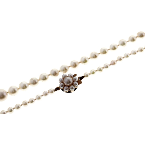 220 - A cultured pearl necklace, 9ct clasp