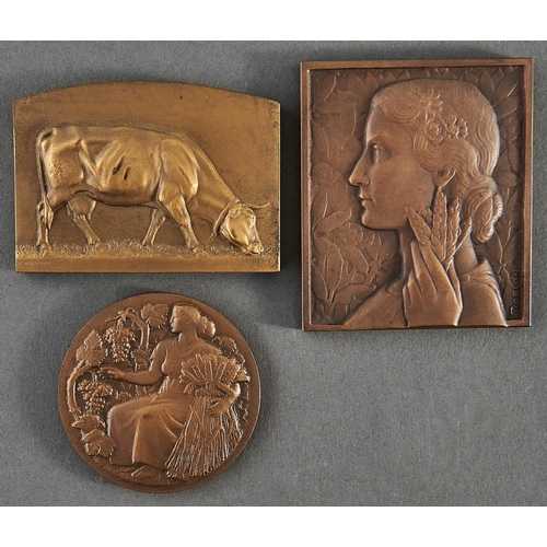 989 - Three French bronze agricultural prize medals / plaquettes, early 20th c, cased