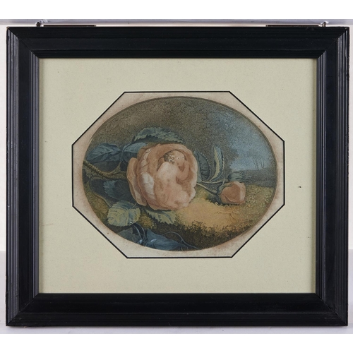 1579 - Joseph Pastorini (1775-1839) after William Marshall Craig, c1765-c1834) - A Cup of Delight, etching ... 