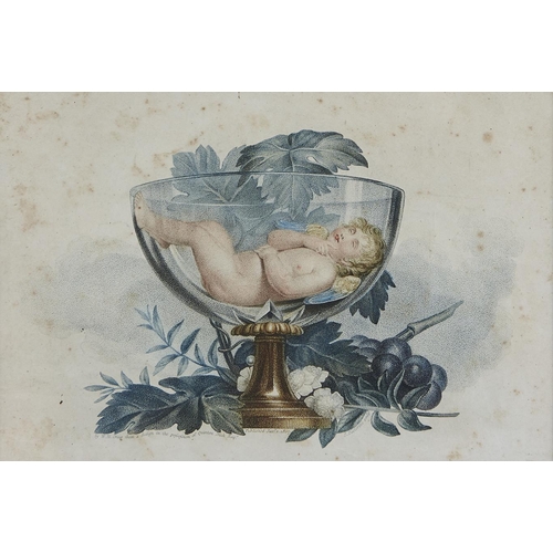 1579 - Joseph Pastorini (1775-1839) after William Marshall Craig, c1765-c1834) - A Cup of Delight, etching ... 
