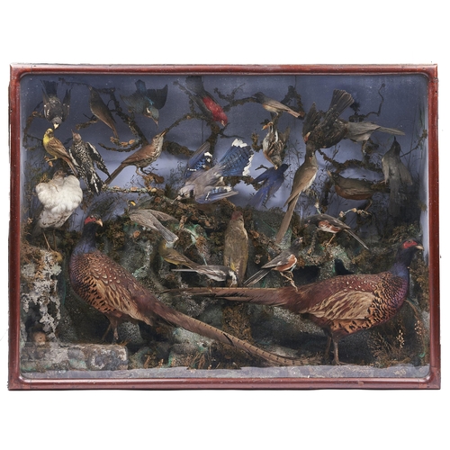 1200A - Taxidermy. A rectangular composition, early 20th c, modelled with British and other birds, to includ... 