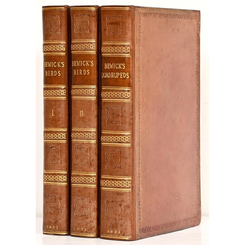 309 - Bewick (T) - A History of British Birds - The Figures engraved on Wood by T Bewick, two volumes, woo... 