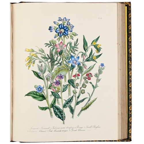 376 - Loudon [Jane] Mrs - British Wild Flowers, second edition, hand coloured plates, half title, contempo... 