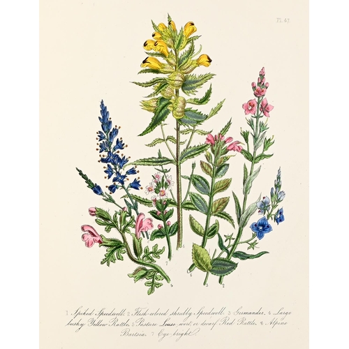 376 - Loudon [Jane] Mrs - British Wild Flowers, second edition, hand coloured plates, half title, contempo... 