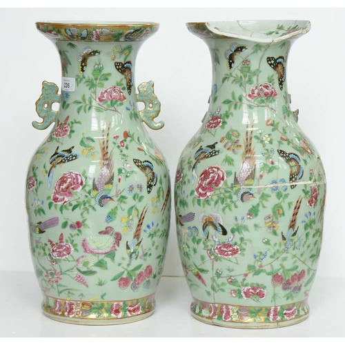 226 - A pair of Chinese Canton famille rose celadon ground vases, mid 19th c, enamelled with colourful bir... 