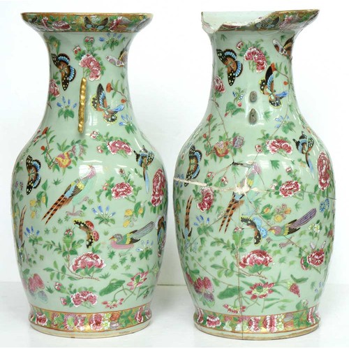 226 - A pair of Chinese Canton famille rose celadon ground vases, mid 19th c, enamelled with colourful bir... 