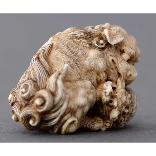 1076 - A Japanese ivory netsuke of a shi-shi lion and young, Meiji period, 40mm l, signed Tomokoto... 