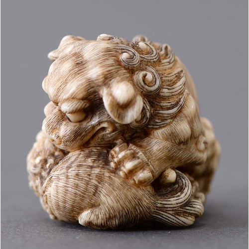 1076 - A Japanese ivory netsuke of a shi-shi lion and young, Meiji period, 40mm l, signed Tomokoto... 