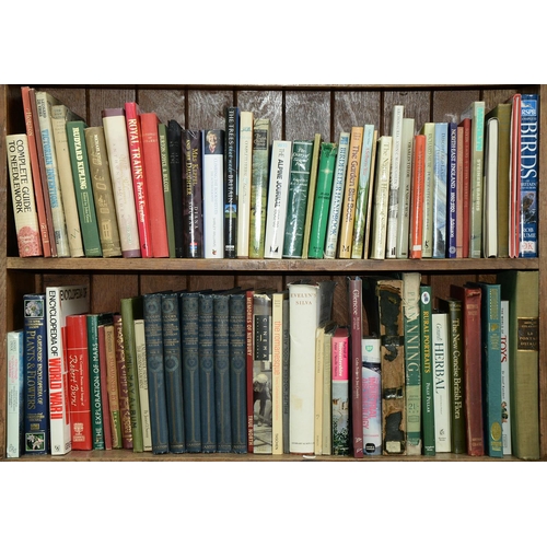 302 - Books. Miscellaneous general shelf stock, six shelves, to include Ruff's Guide to the Turf, 11 vols,... 