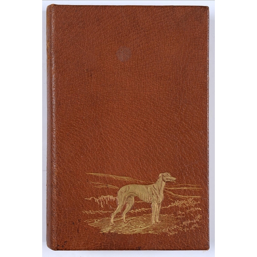 305 - Ash (Edward C) - The Book of the Greyhound, Edition Deluxe, illustrated, colour frontispiece af... 