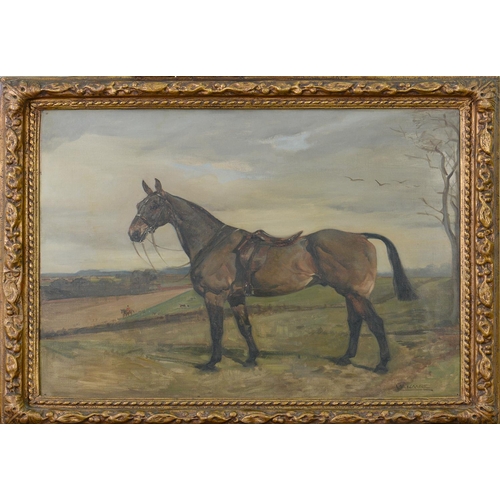 697 - Nina Colmore (1889-1973) - Portrait of a Hunter, signed, oil on canvas, 62.5 x 75cm