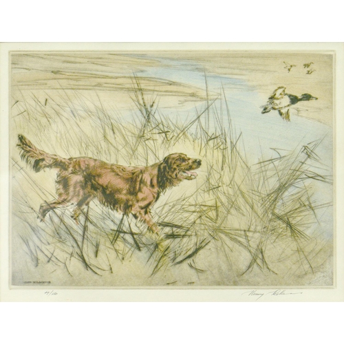 729 - Jean Herblet (1893-1985) - Two Setters, etching in colour, signed by the artist in pencil, 37 x 48cm... 