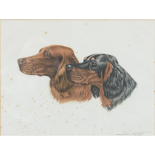 729 - Jean Herblet (1893-1985) - Two Setters, etching in colour, signed by the artist in pencil, 37 x 48cm... 