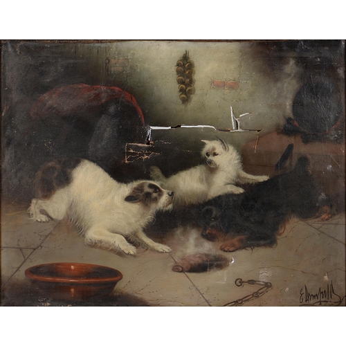 1176 - Edward Armfield (1817-1896) - Three Terriers in a Cellar,  signed, oil on canvas, 69.... 